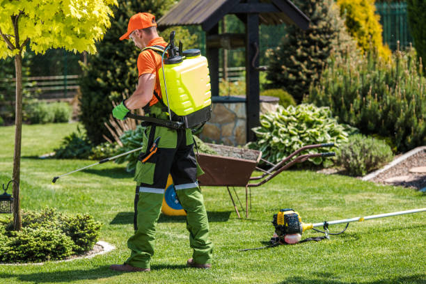 Best Pest Exclusion Services  in Inglewood, CA